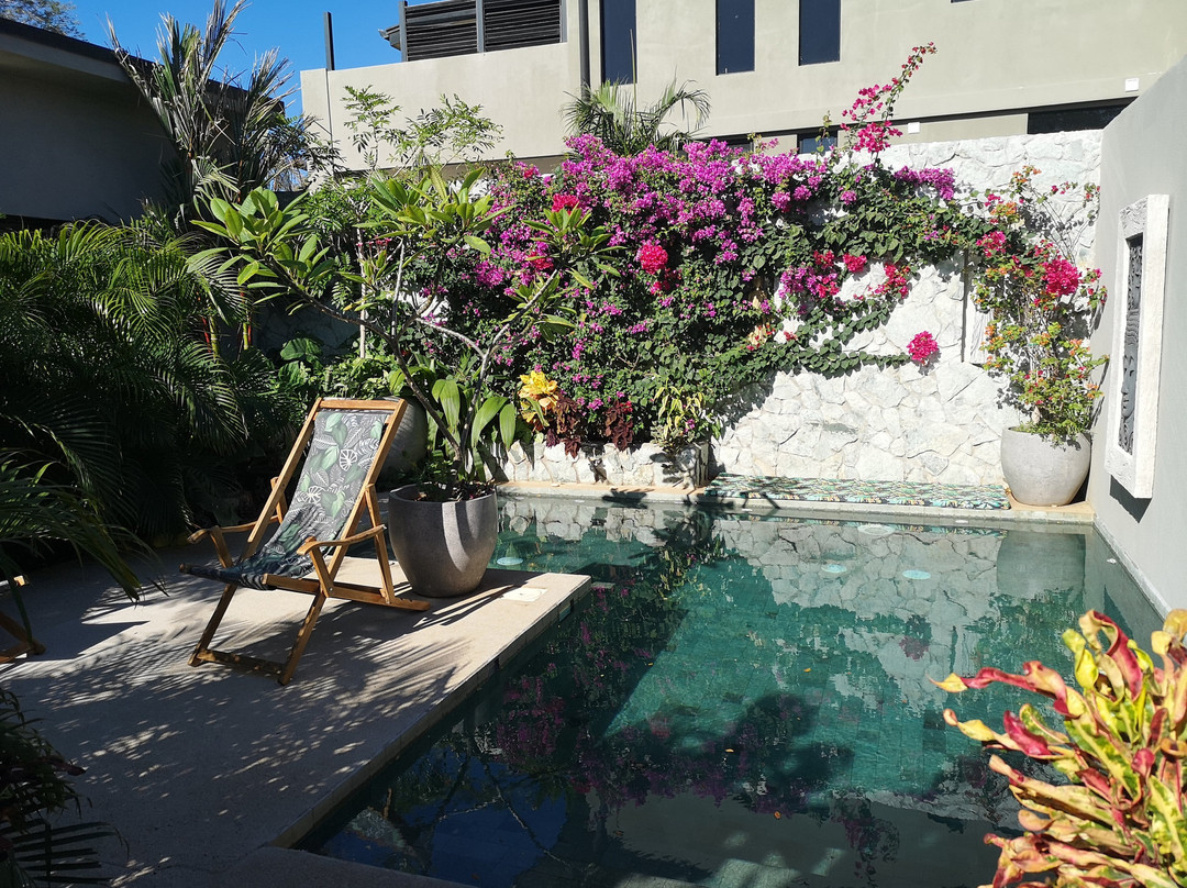 Zen Garden Tamarindo