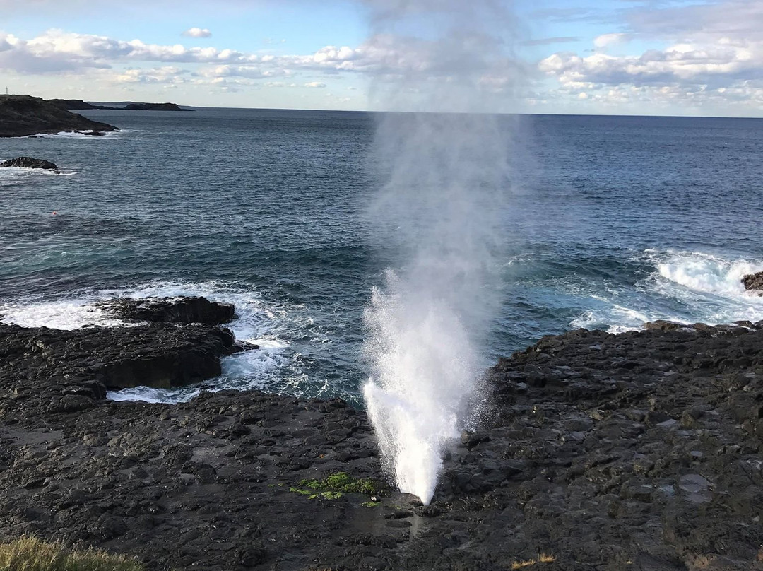 Little Blowhole Reserve “Endeavour Lookout”景点图片