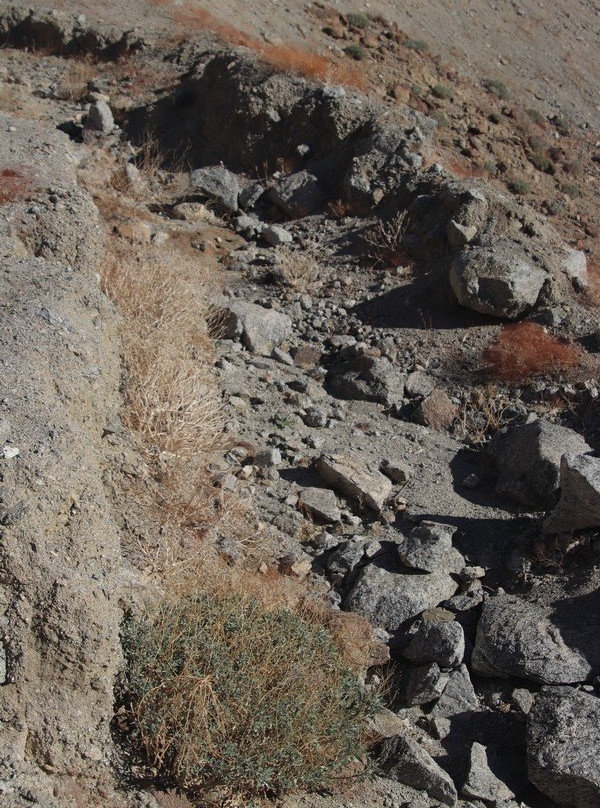 Bump and Grind Trail-棕榈沙漠必去景点