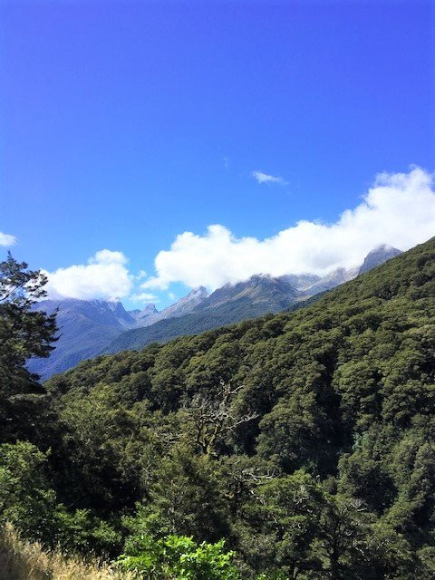 Milford sound Hwy景点图片
