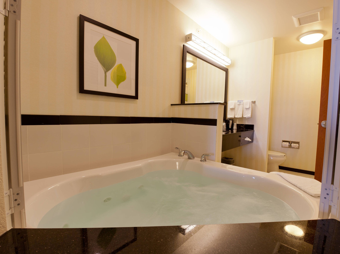 弗林特芬顿费尔菲尔德客栈及套房酒店主图