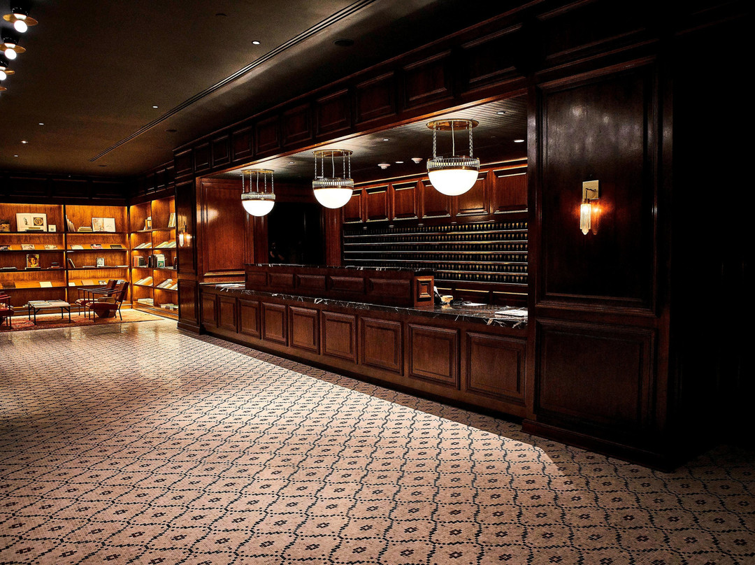 阿道弗斯酒店主图