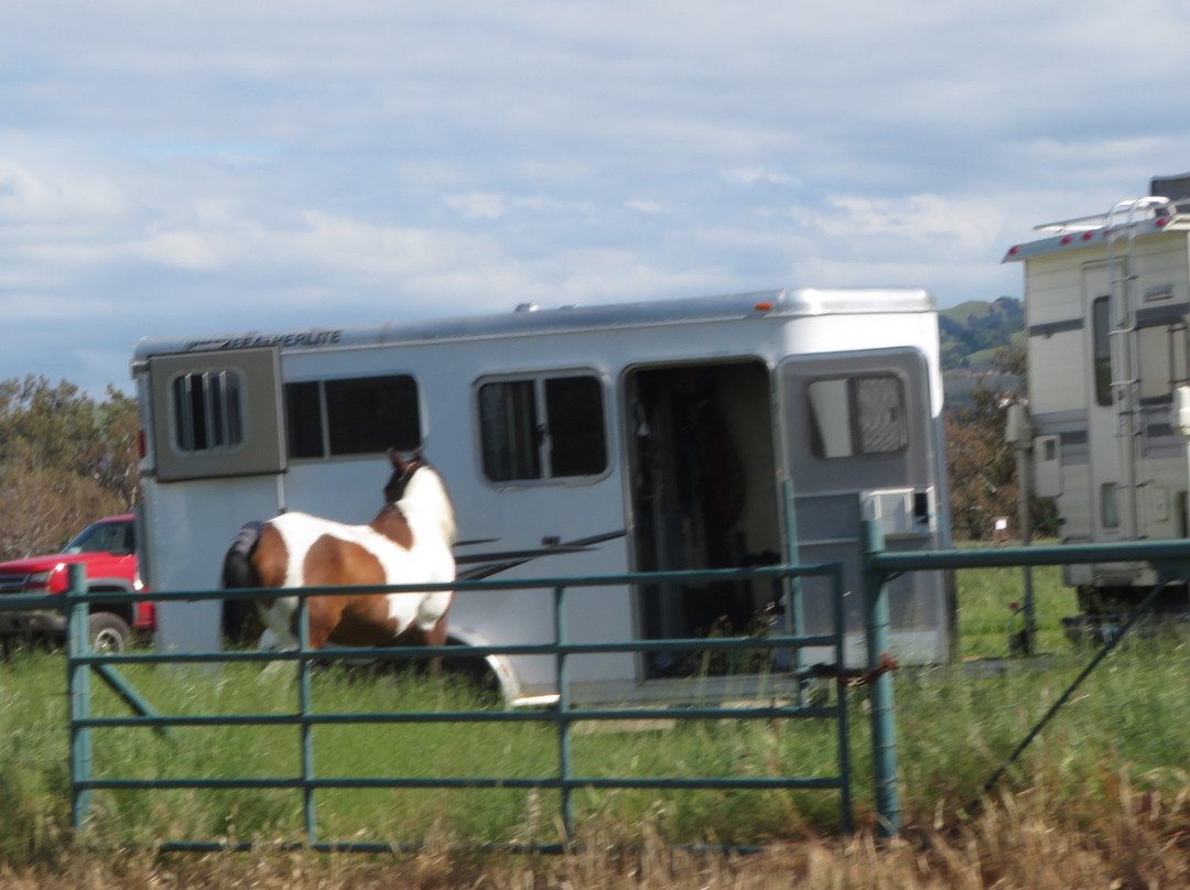 Sycamore Grove Regional Park-利佛摩必去景点