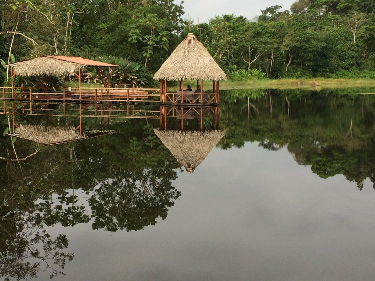Maquenque Eco-Lodge-酒店景观