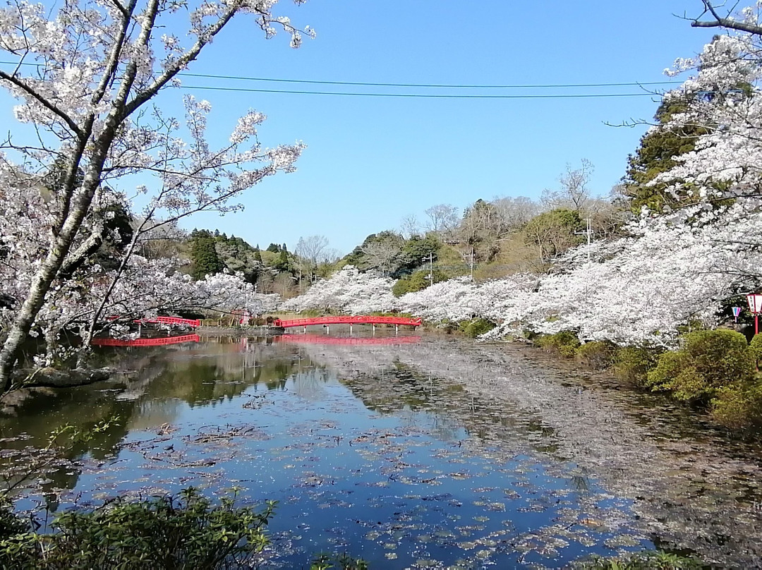 Mobara Park-茂原市必去景点