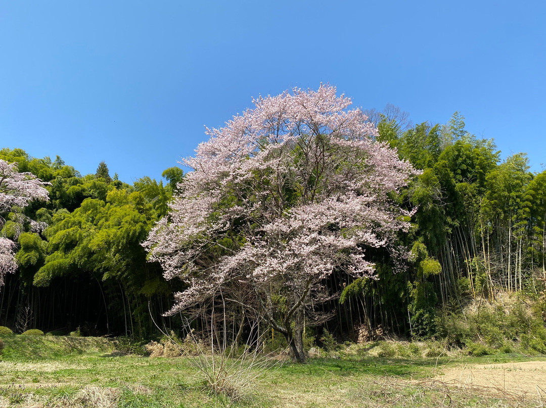 Sesson-an-郡山市必去景点
