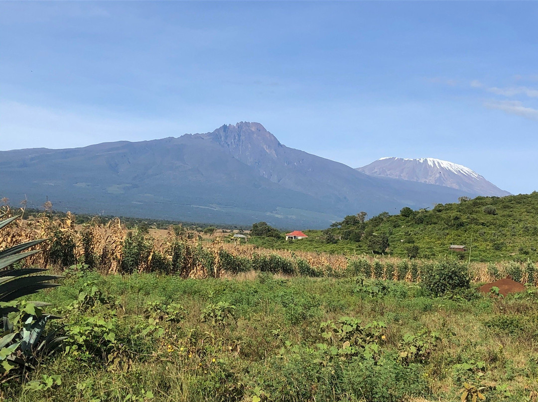 Safari Afrique-蒙巴萨必去景点