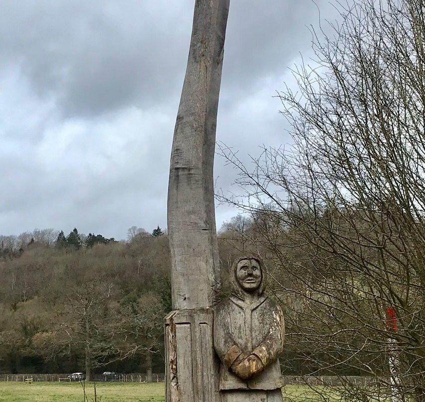 Banstead Woods景点图片