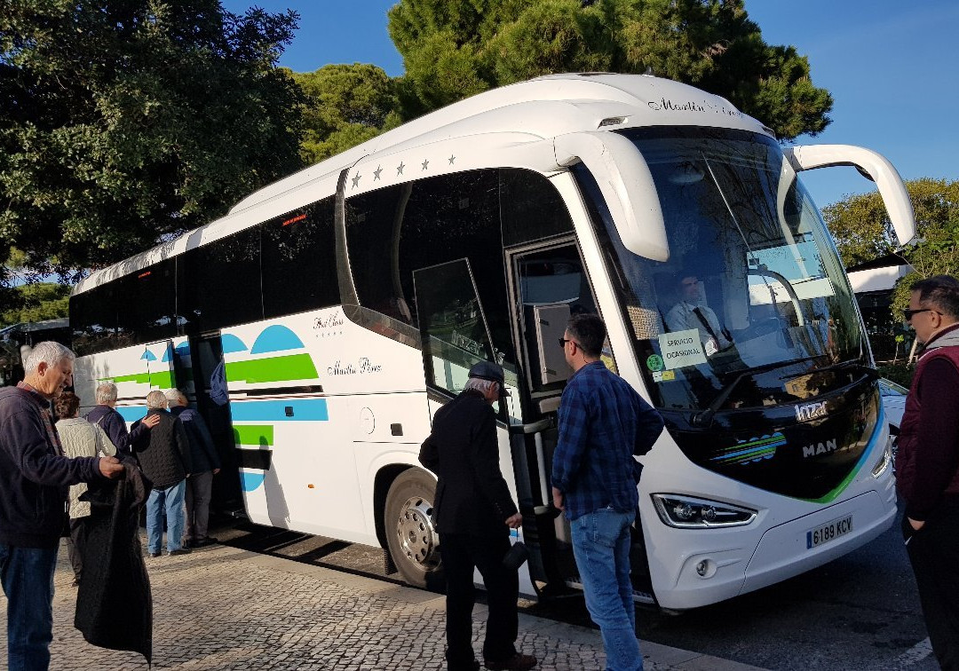 She Changes (The Anemone)-波尔图必去景点