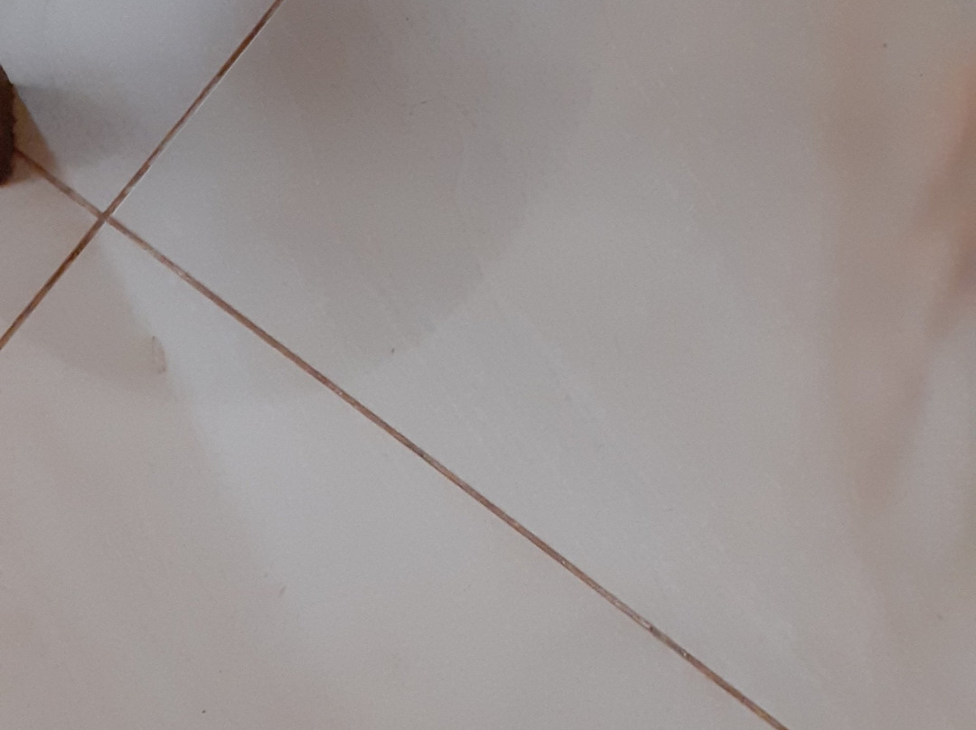 Steadfast Safaris-坎帕拉必去景点