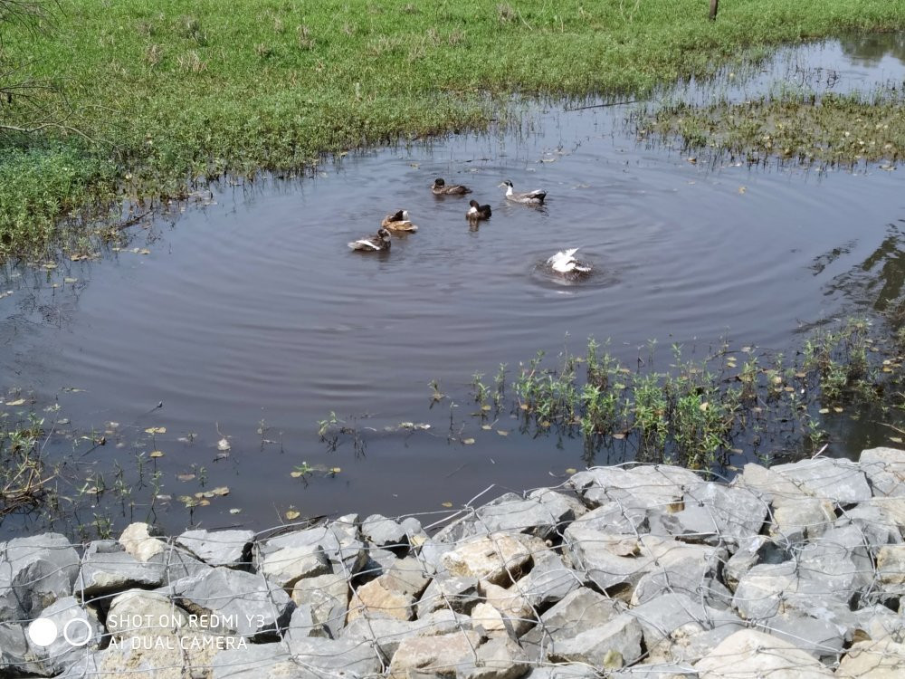 Tapan Dighi-Balurghat必去景点