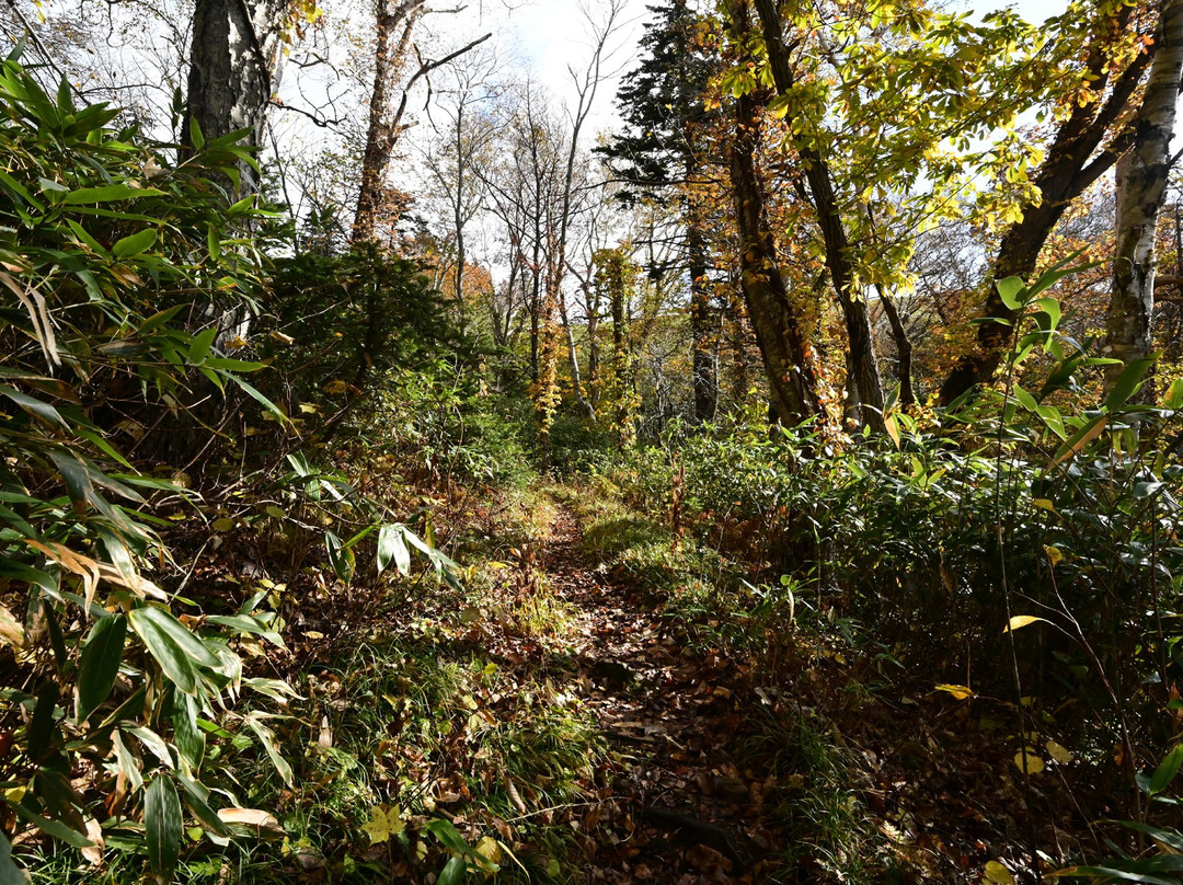 Mt. Pon-利尻富士町必去景点