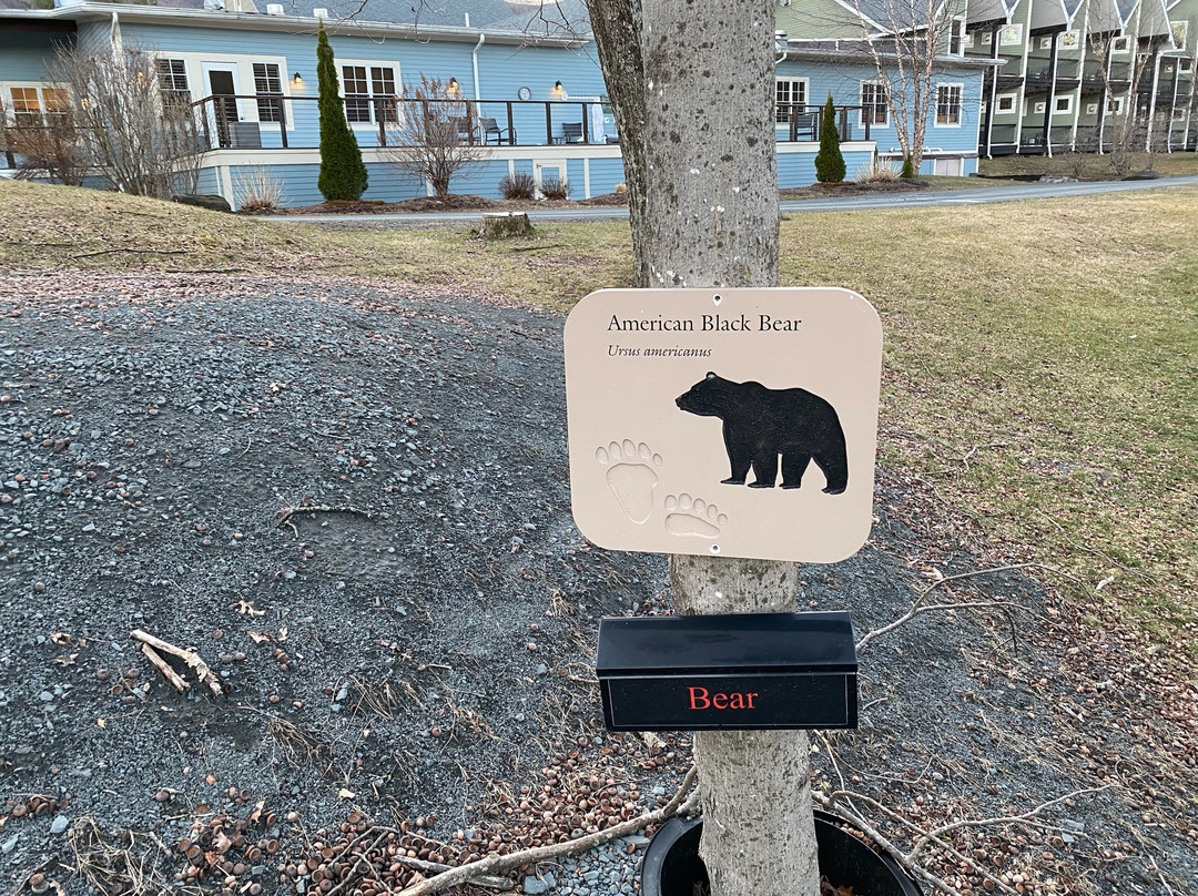 Emerson Resort & Spa主图