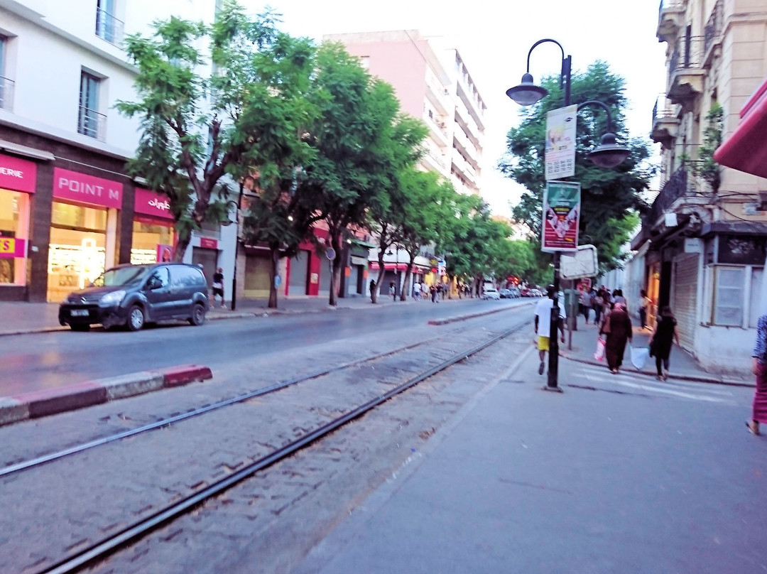 Avenue de Paris-突尼斯必去景点