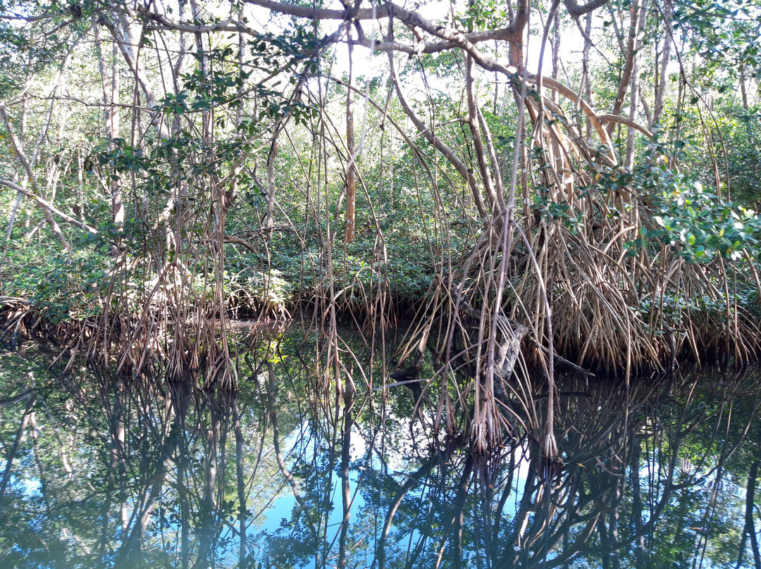 Vincent Excursions-Morne-A-l'Eau必去景点