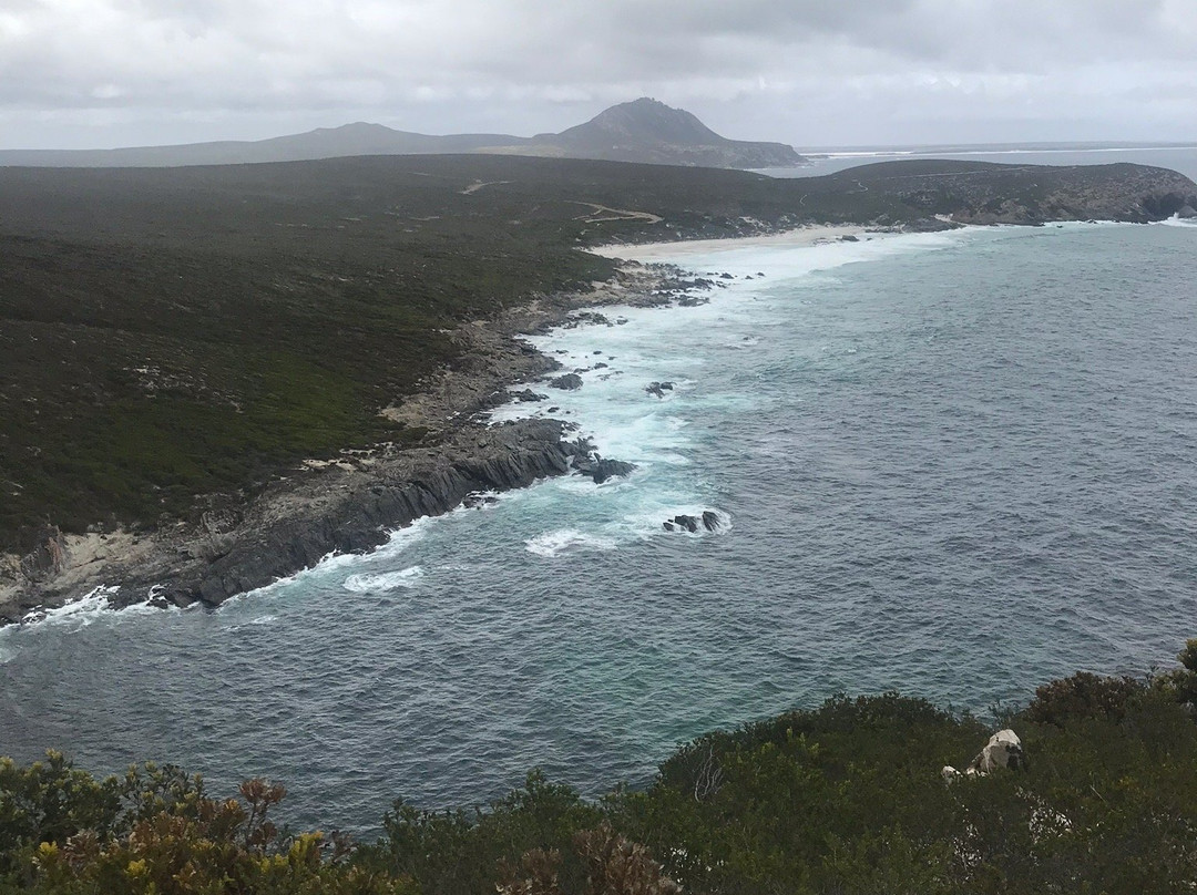 Hakea Trail景点图片