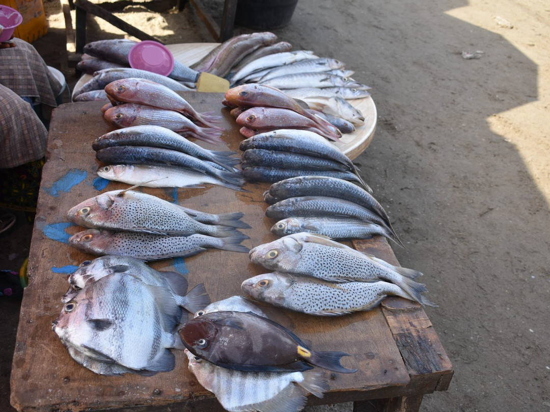 Bakau Fish Market景点图片