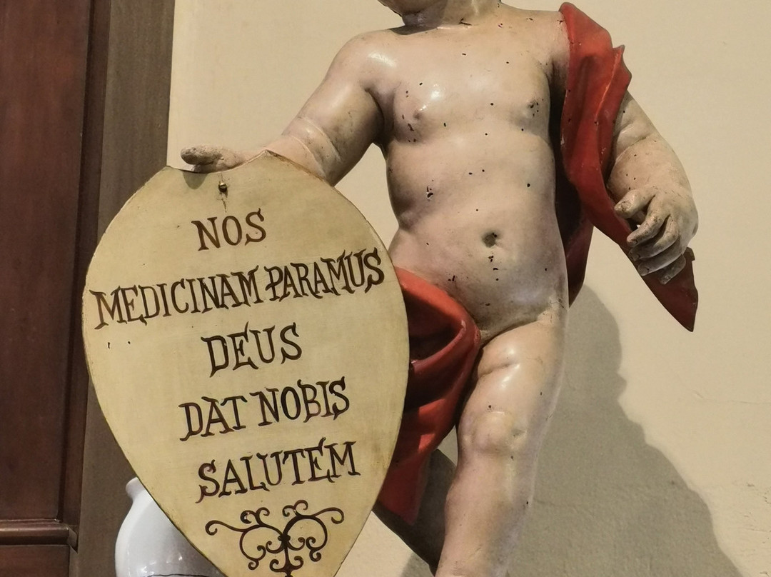 Antica Farmacia Erboristica Sant'Anna dei Frati Carmelitani Scalzi景点图片