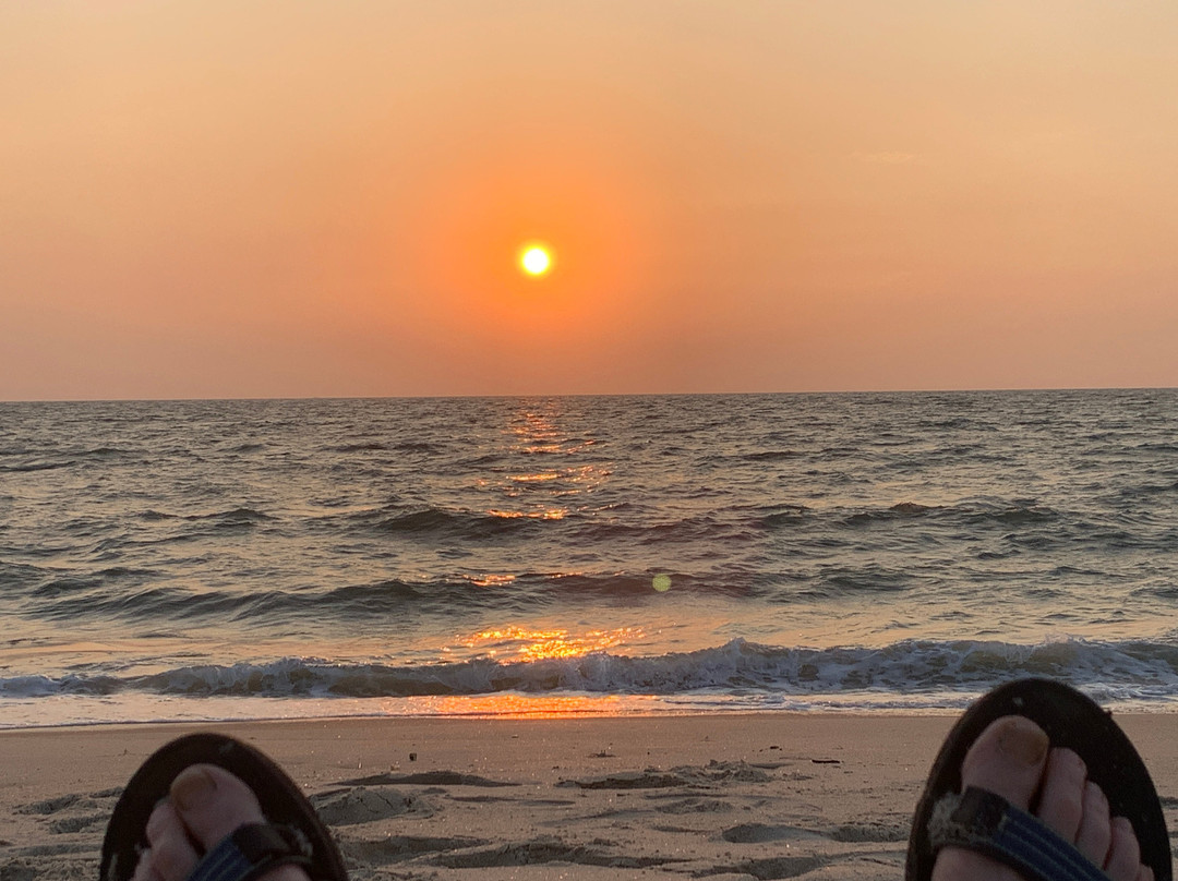 Flamingo Marari The Boutique Villa主图