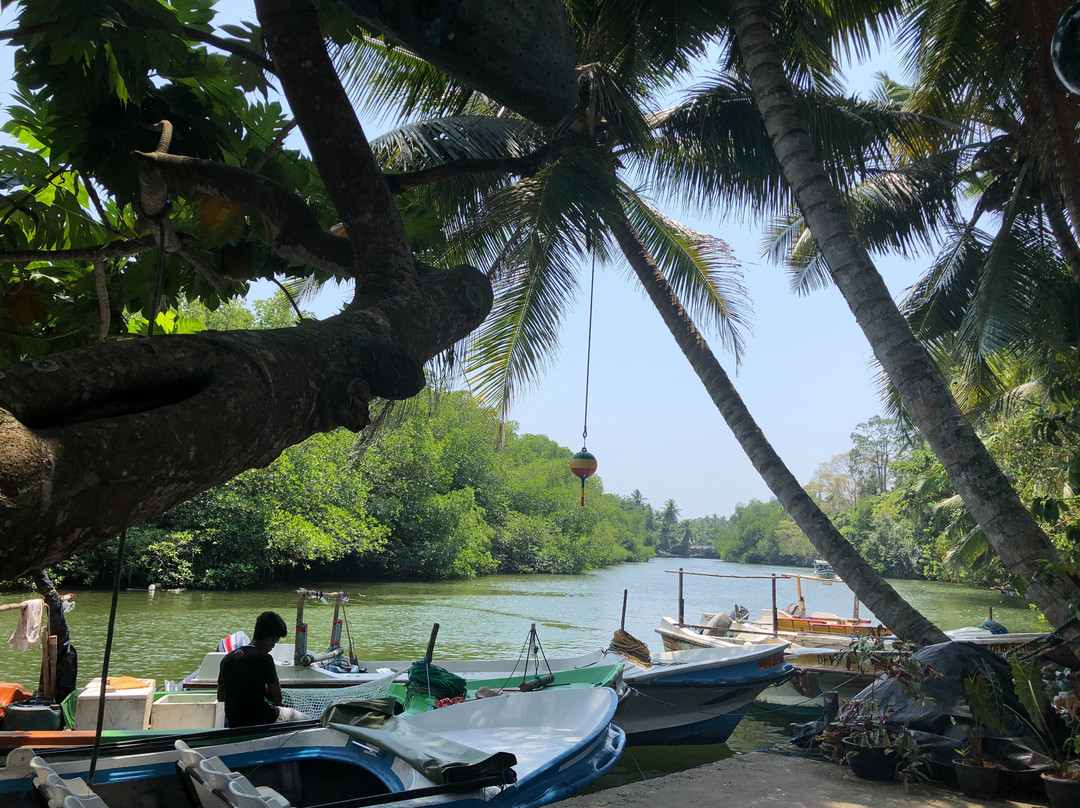 Madu River景点图片