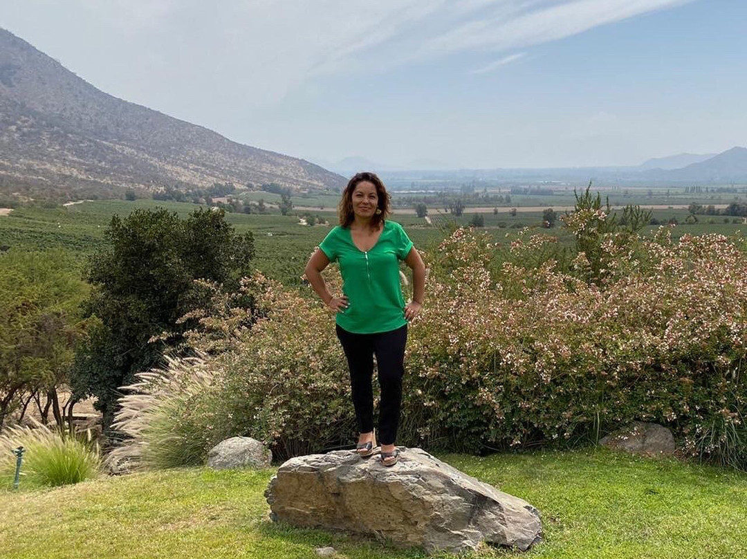 Vina San Pedro-Requinoa必去景点