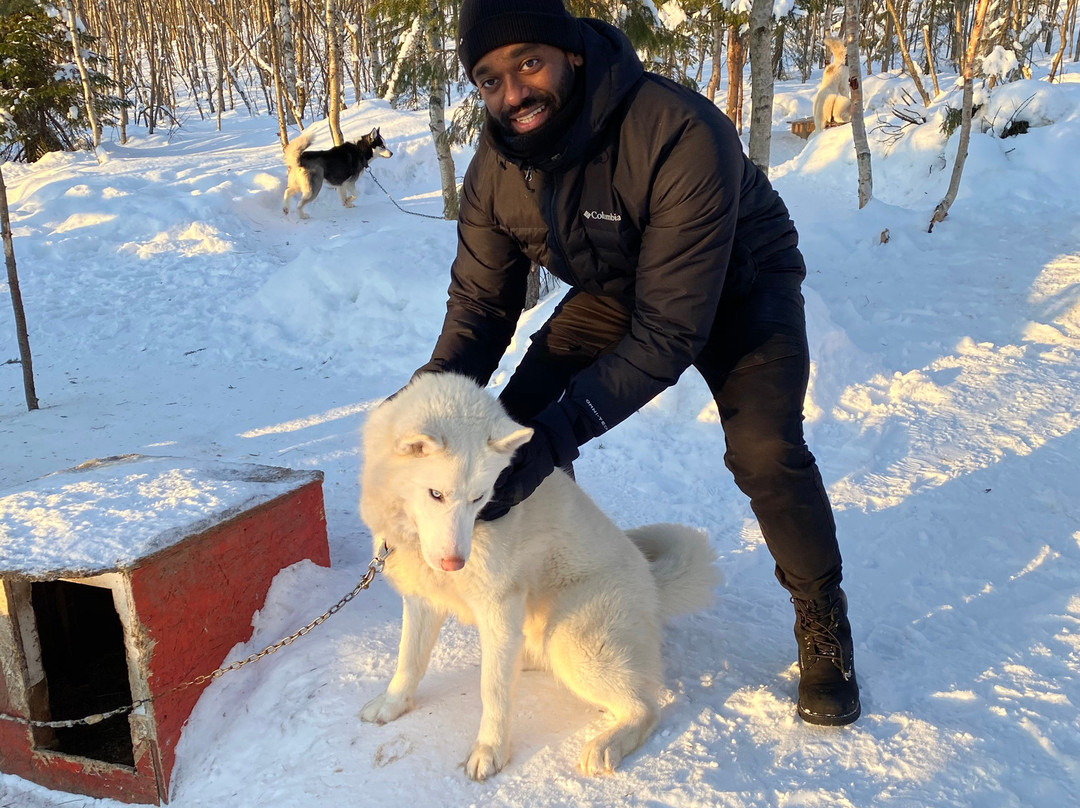 Husky Farm Ulybka Alyaski景点图片