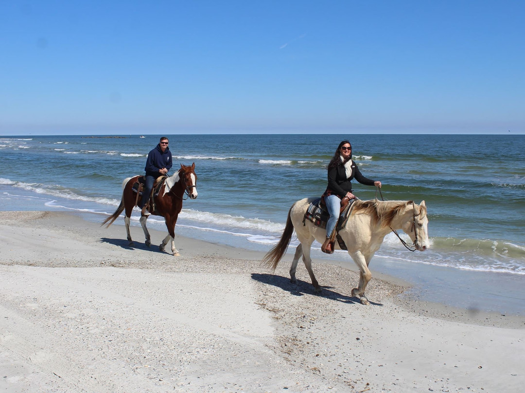 Kelly Seahorse Ranch-阿米莉亚岛必去景点