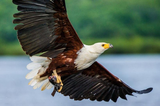 Top View Ethiopia Tour