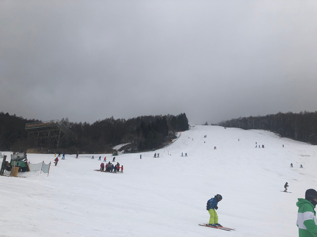 Sugadaira Kogen Ski Area-上田市必去景点