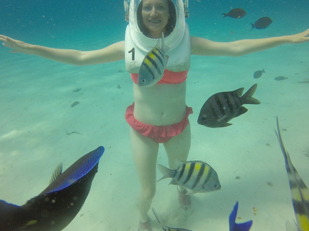 Aquanautas-圣安德烈斯必去景点