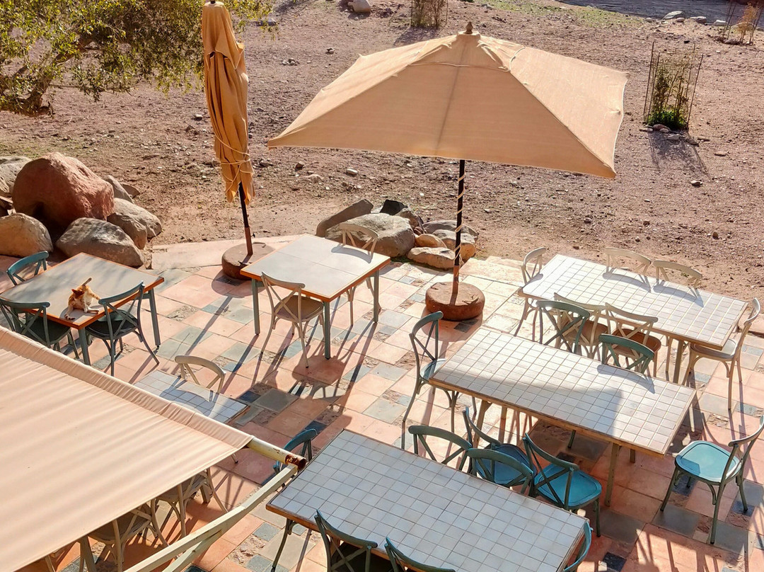 Feynan Ecolodge主图