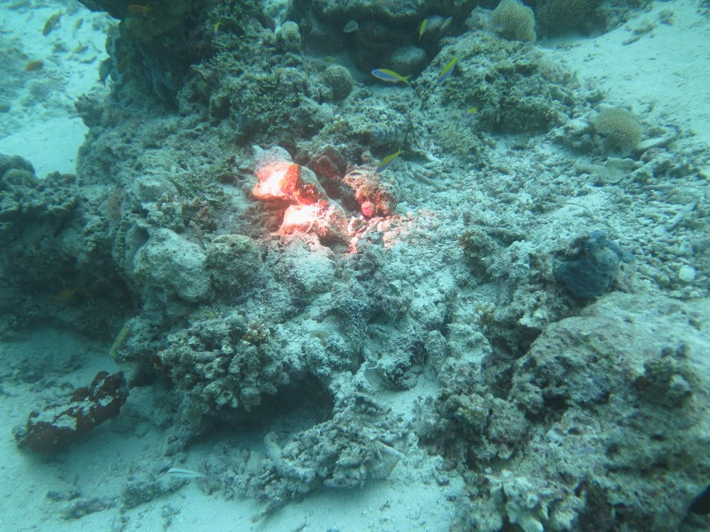 SUB AQUA DiveCenter Angaga景点图片