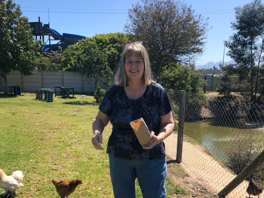 Garden Route Bird of Prey Rehab Centre-乔治必去景点