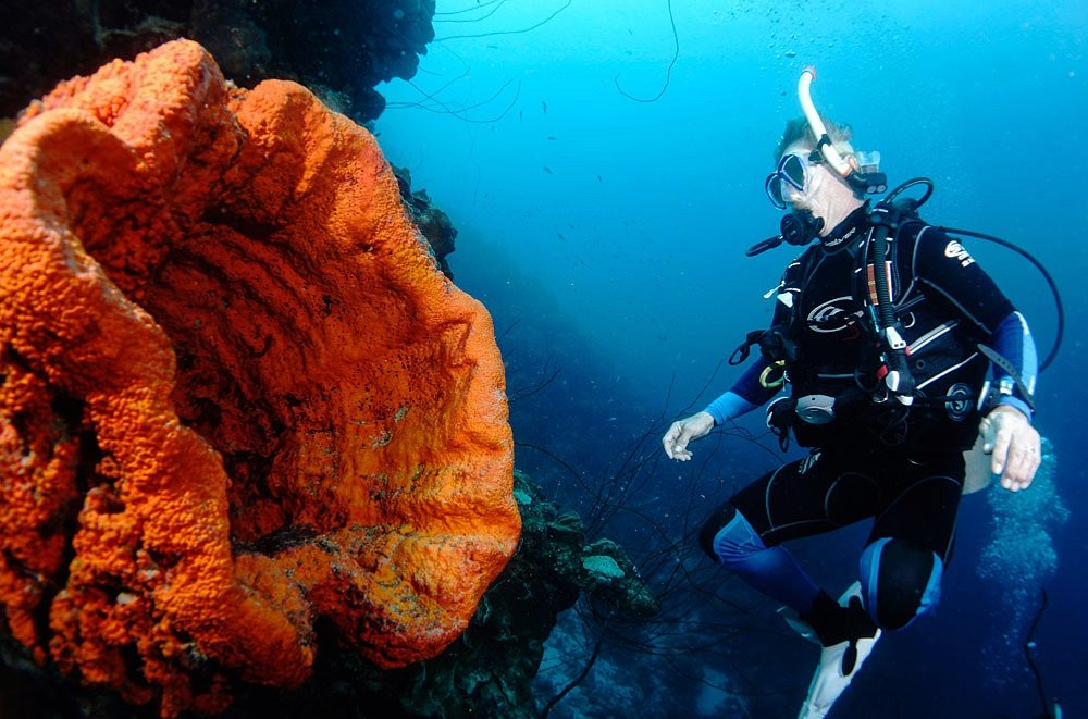 Lagun Blou Dive-Lagun必去景点