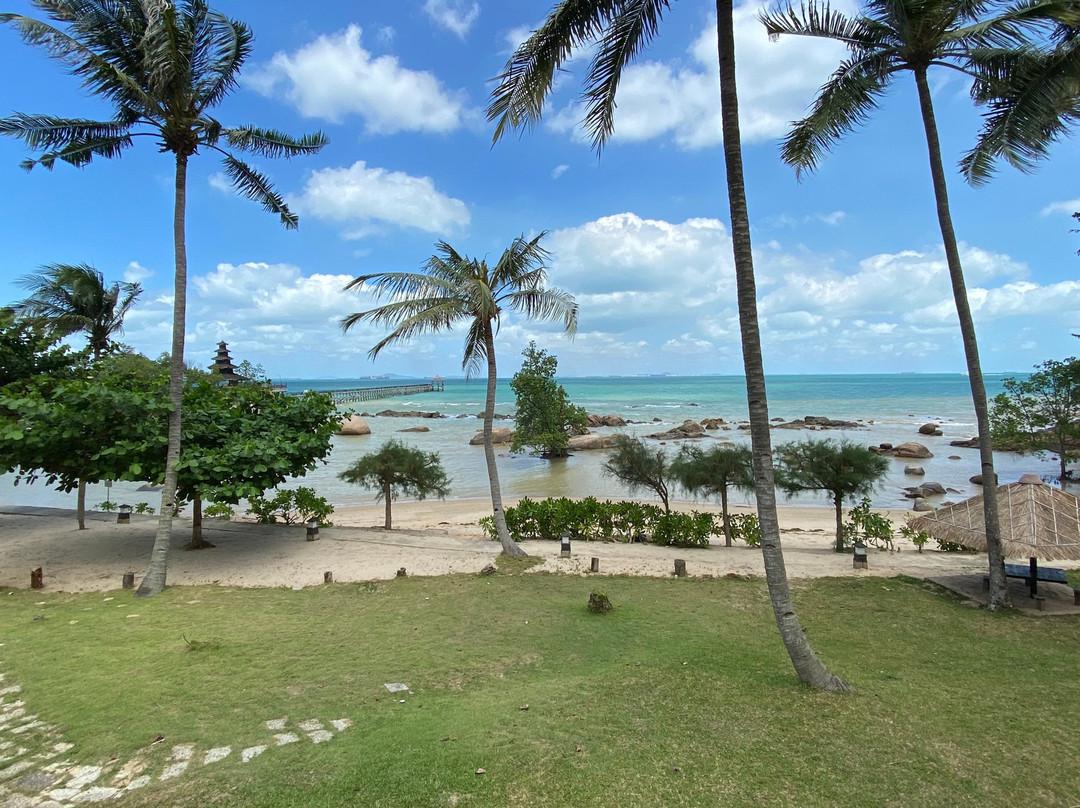 杜丽海滩度假村主图