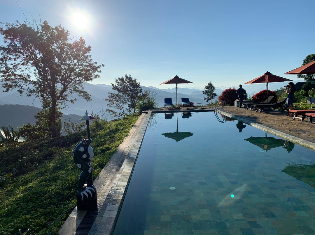 玛杜可茶园生态旅馆主图