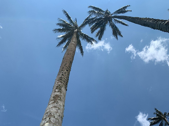 Overlanding Colombia-波哥大必去景点