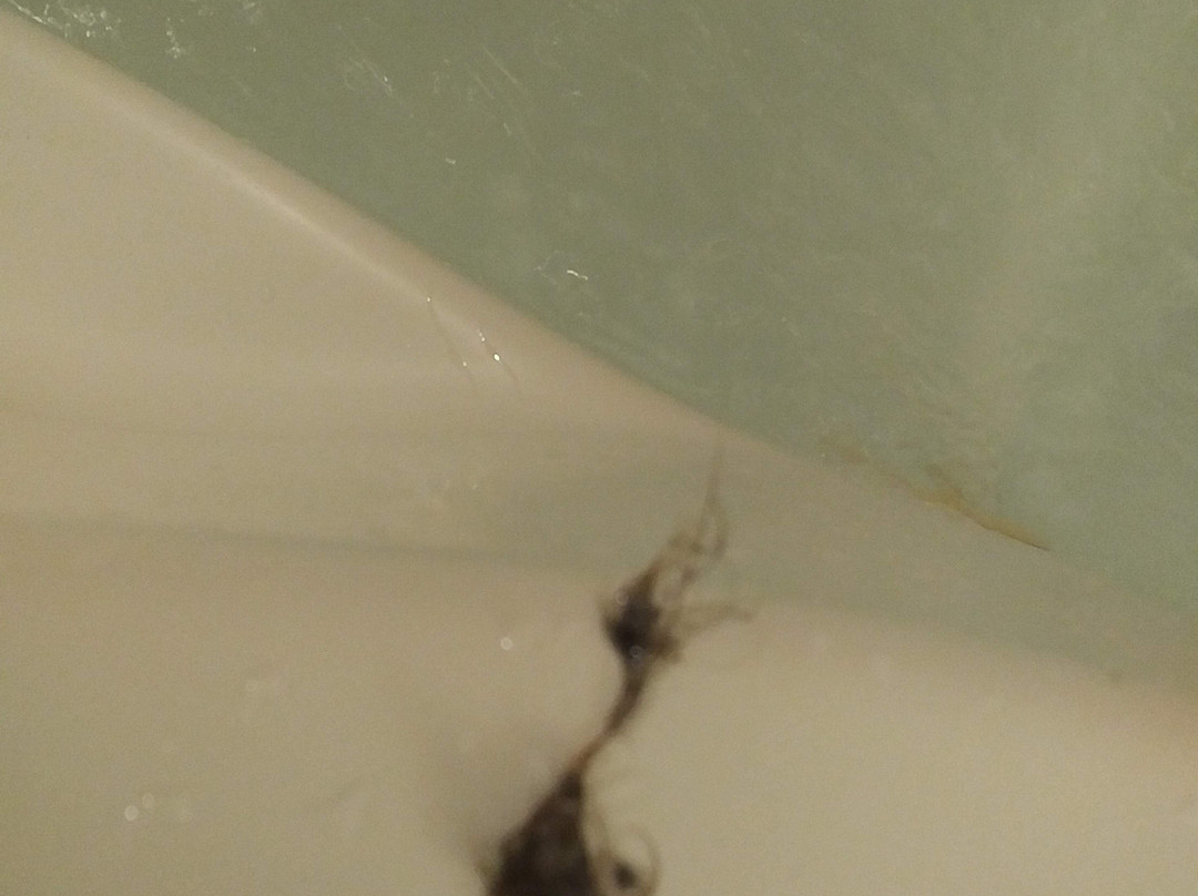 乔治敦贝蒙特旅馆&套房酒店主图