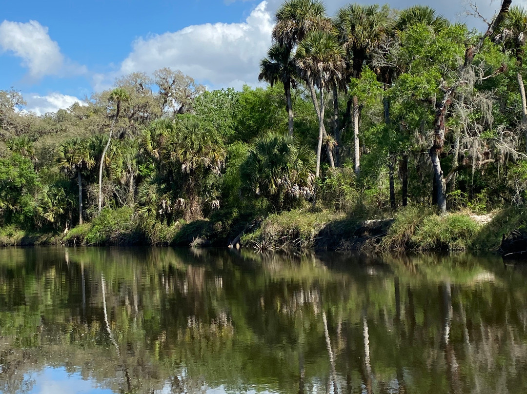 Sleeping Turtles Preserve North-威尼斯必去景点