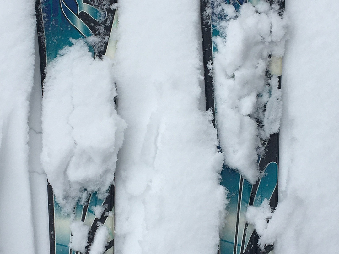 Cascade Mountain-Portage必去景点