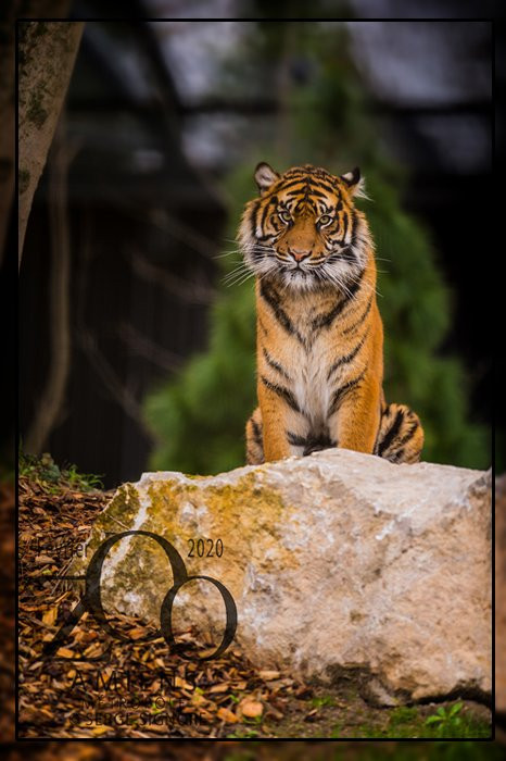 Zoo d'Amiens Métropole-亚眠必去景点