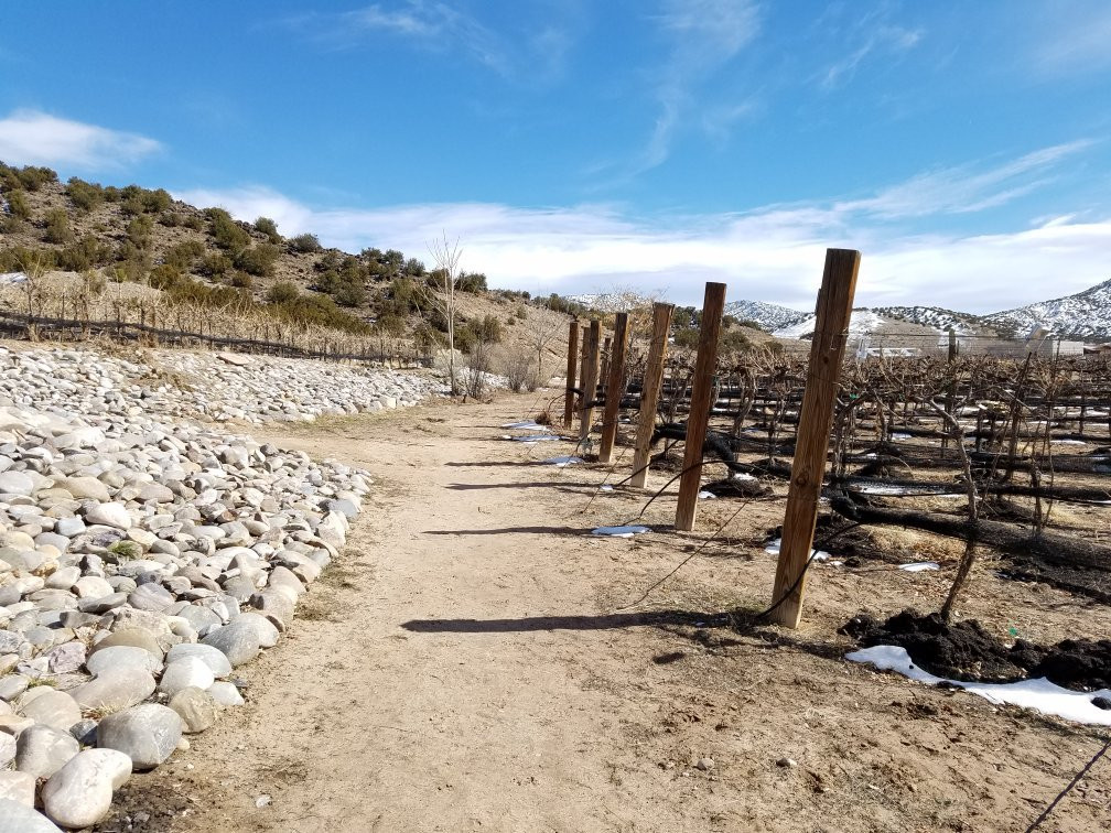 Black Mesa Winery景点图片