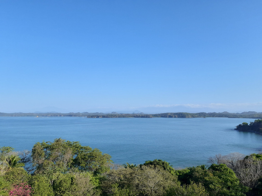 Pacific Bay Resort主图