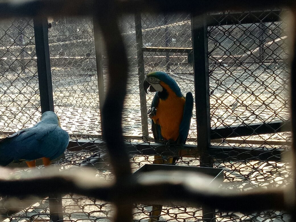 OYO 15483 Sai Palkhi Niwara主图