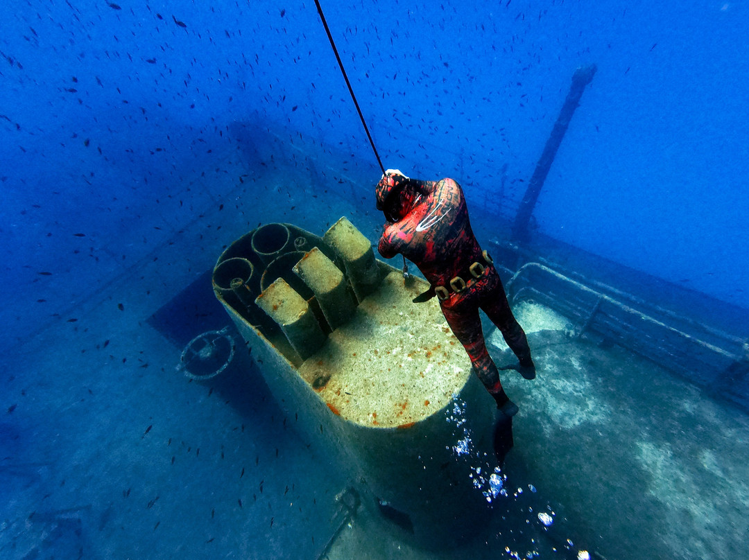 Apnea Total Malta - Freediving School