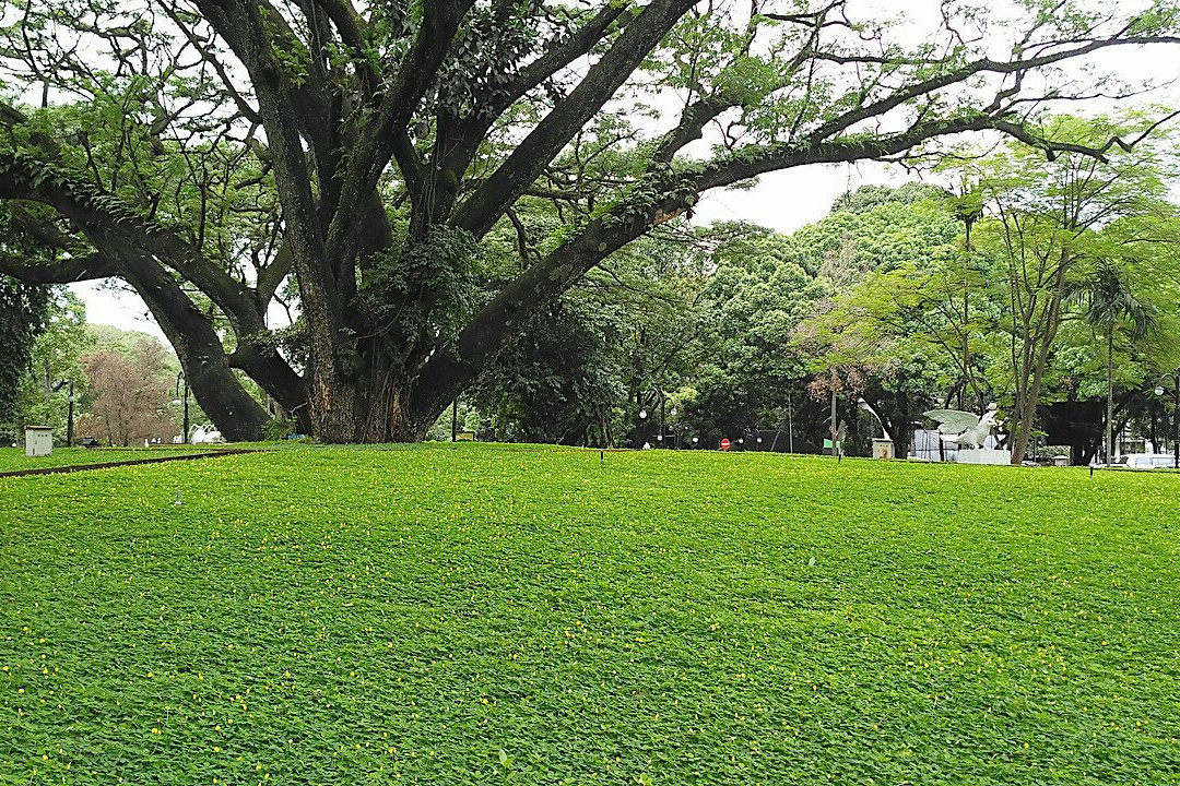 Bandung City Hall Park-万隆必去景点