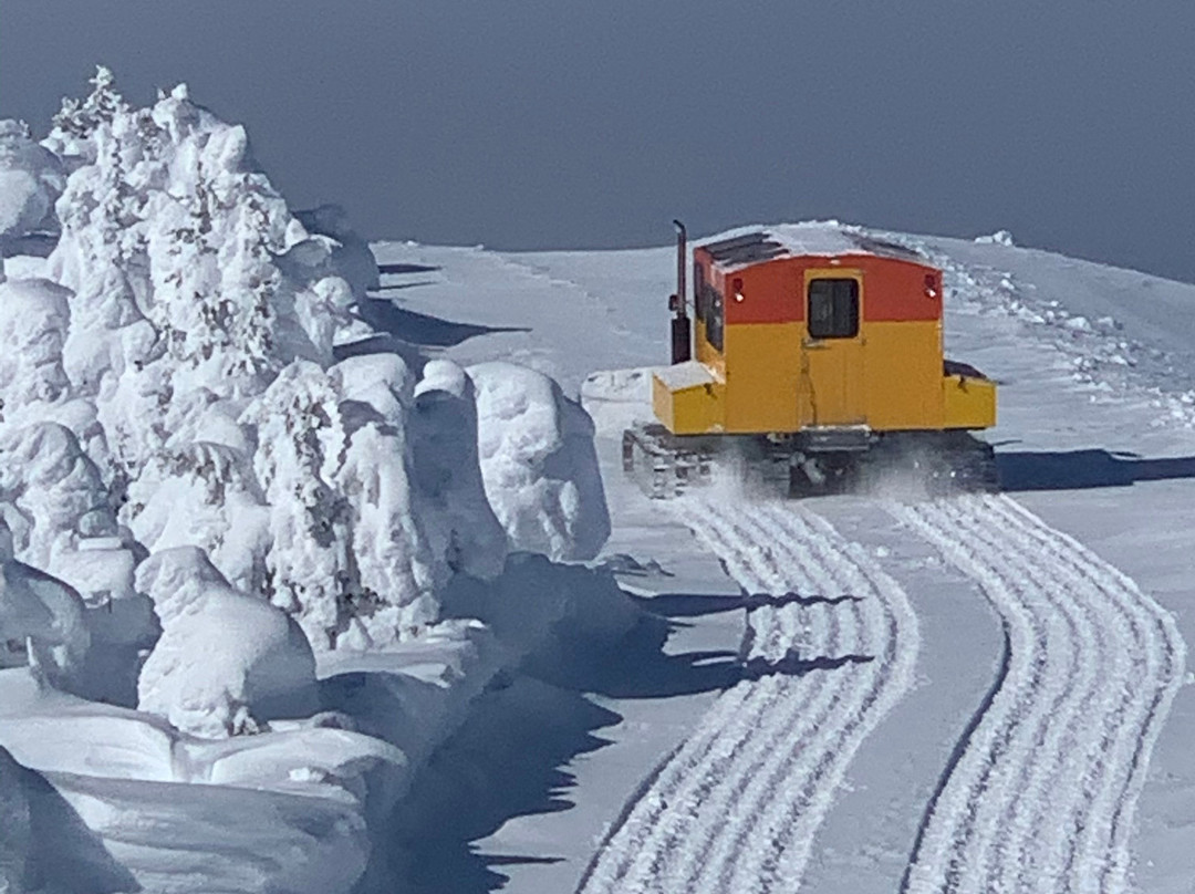 Cariboo SnowCat Skiing景点图片