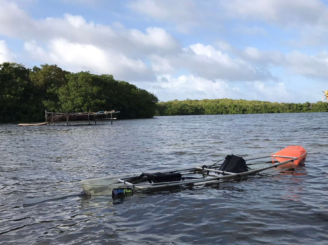 Manglares de Old Point National Park-圣安德烈斯必去景点