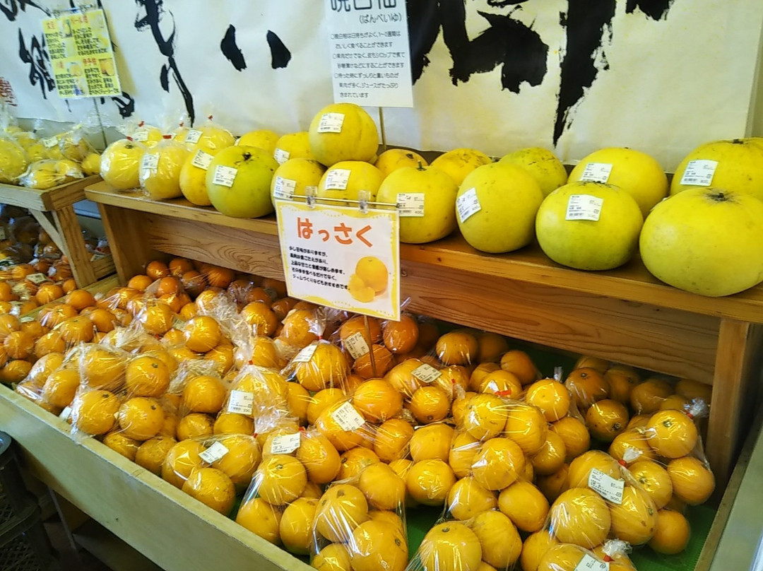 Michi-no-Eki Buzen Okoshikake-丰前市必去景点