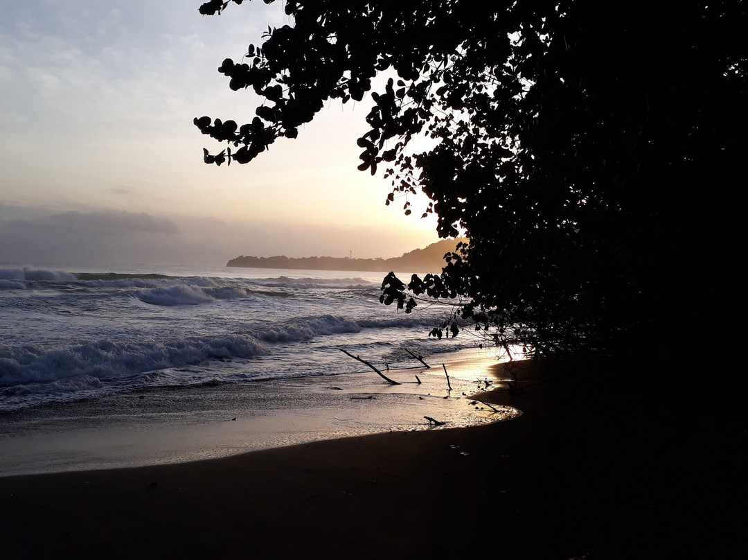 Caribe Fun Tours景点图片